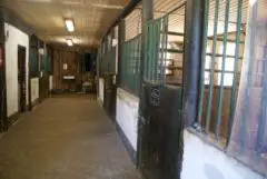 stall